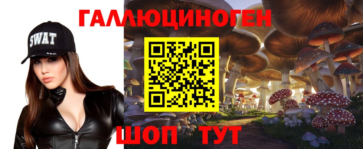 Новый Уренгой  Псилоцибиновые грибы Psilocybine cubensis  Вход с VPN 